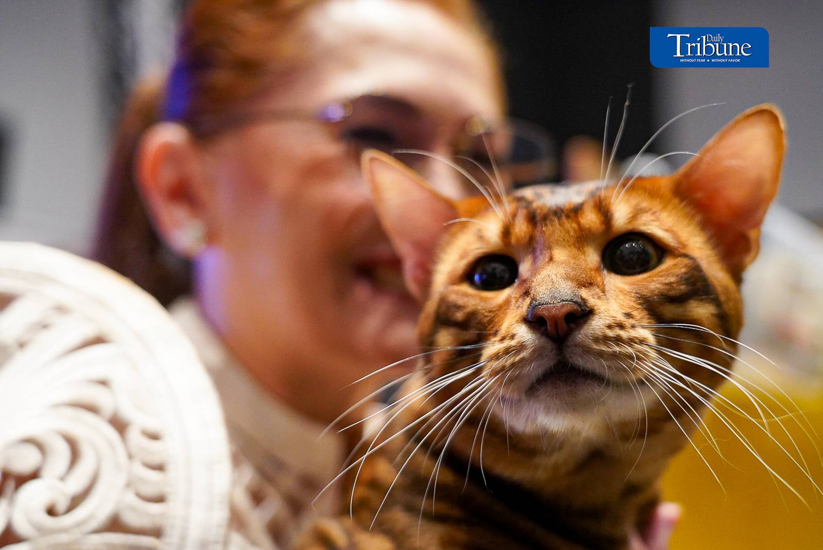 Cat enthusiasts and pet owners visit the 1st WCF Philippines World Show held at One Ayala in Makati. The show runs from 14 to 15 June 2024.